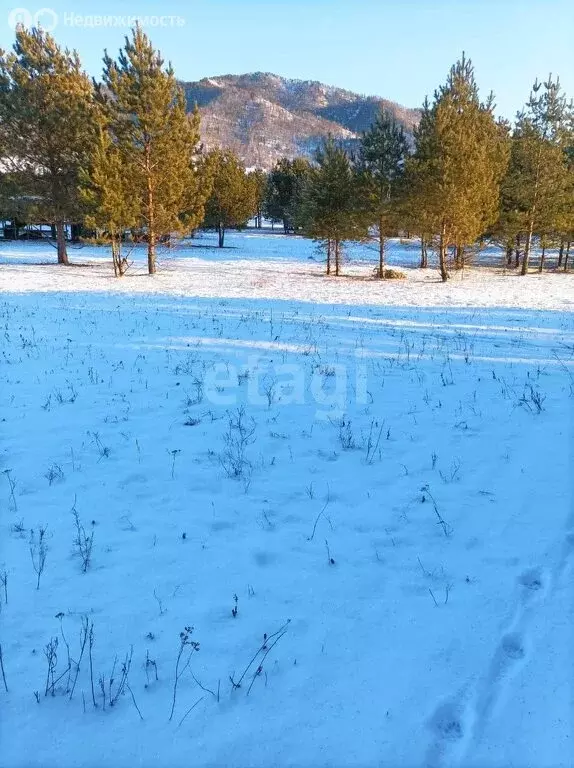 Участок в Чемальский район, Элекмонарское сельское поселение, село ... - Фото 0