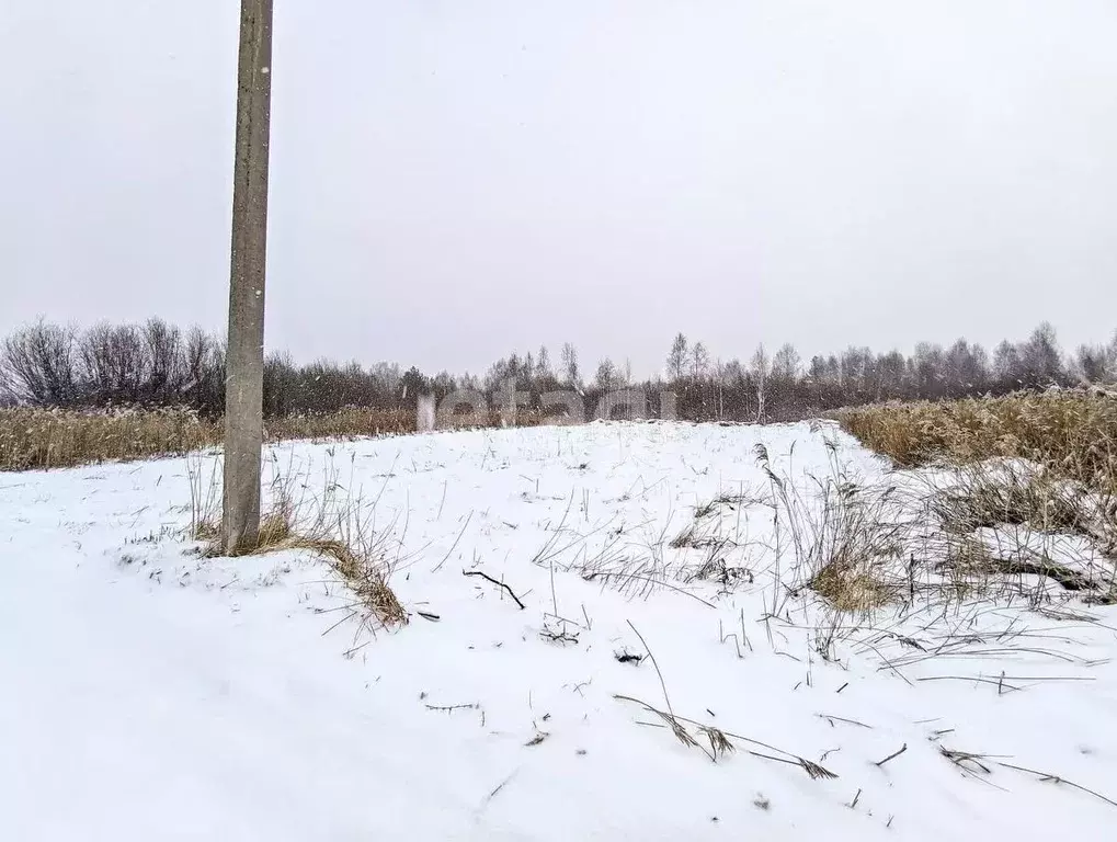 Участок в Тюменская область, Тюмень Липовый Остров СНТ, ул. 12-я ... - Фото 1