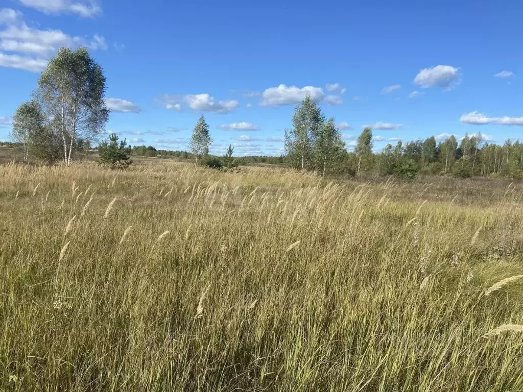 Участок в Марий Эл, Килемарский муниципальный округ, д. Мазикино  ... - Фото 1