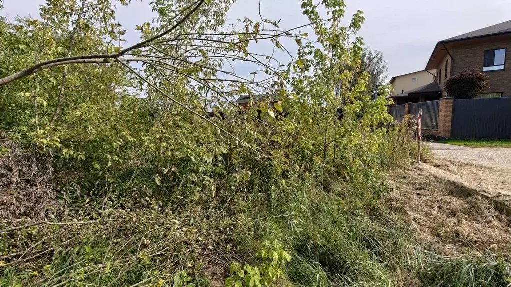 Участок в Московская область, Ленинский городской округ, Молоково пгт  ... - Фото 1