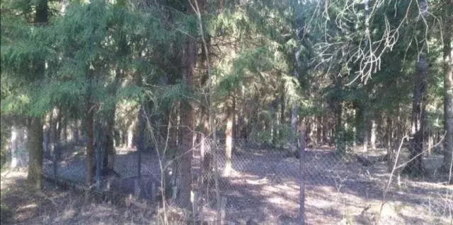 Продается дача в СНТ Геофизик - Фото 2