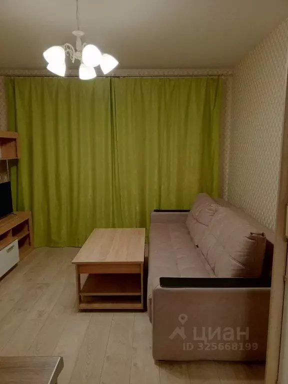 Студия Санкт-Петербург пос. Шушары, просп. Старорусский, 13к2 (25.0 м) - Фото 2