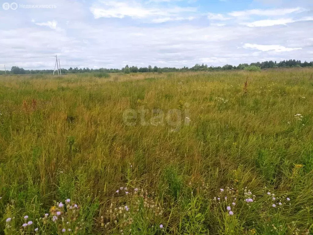 Участок в Кострома, коттеджный посёлок Первый (9.3 м) - Фото 1