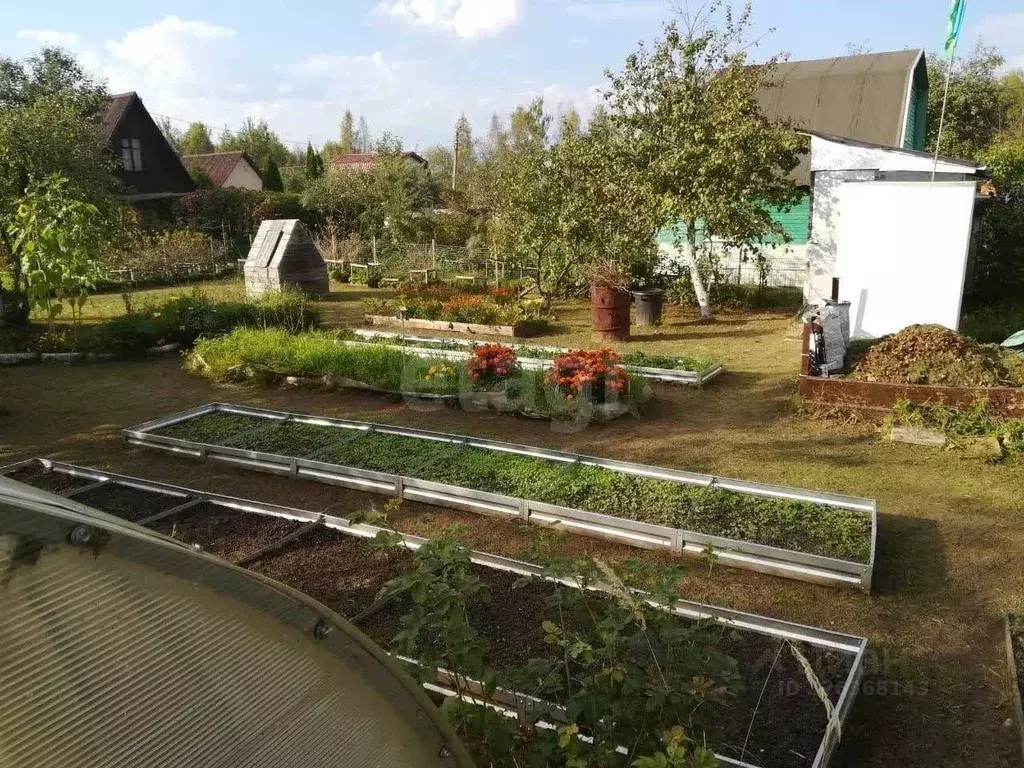 Участок в Ярославская область, Ярославский муниципальный округ, Холод ... - Фото 2