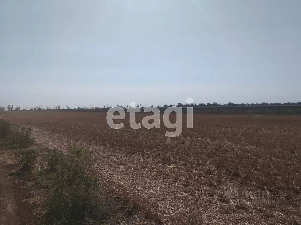 Участок в Крым, Сакский район, с. Митяево  (387.4 сот.) - Фото 2