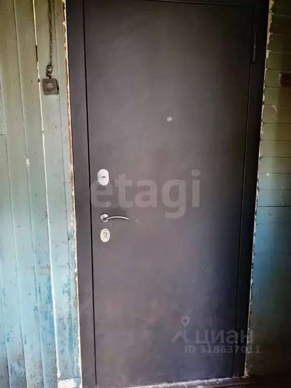 1-к кв. Псковская область, Остров Заводской пер., 7 (25.5 м) - Фото 2