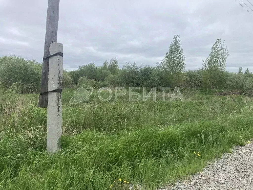 Участок в Тюменская область, Тюмень Садовое товарищество Липовый ... - Фото 0