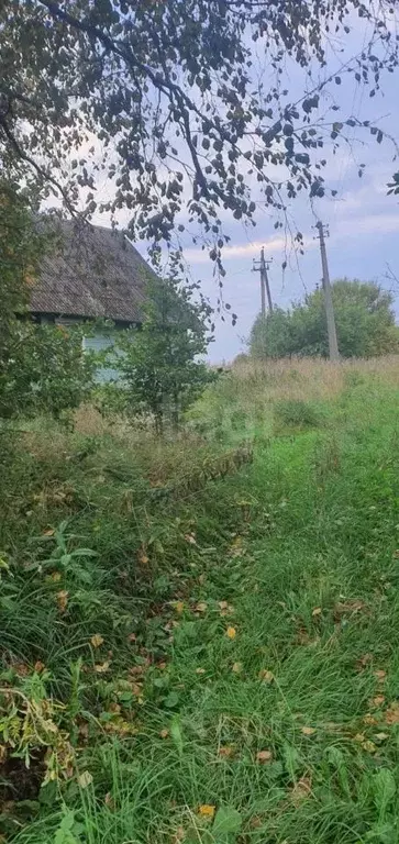 Участок в Псковская область, Печорский муниципальный округ, д. ... - Фото 2