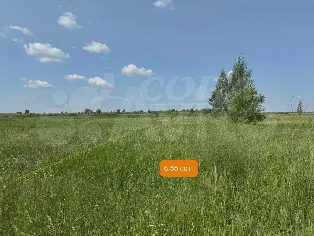 Участок 6,6 сот. (СНТ, ДНП) - Фото 1