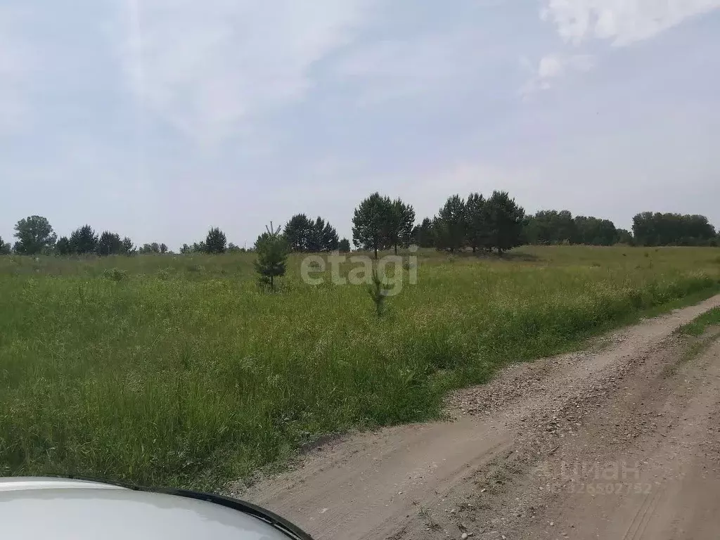 Участок в Алтайский край, Бийский район, Зверовод СДТ ул. Молодежная ... - Фото 1