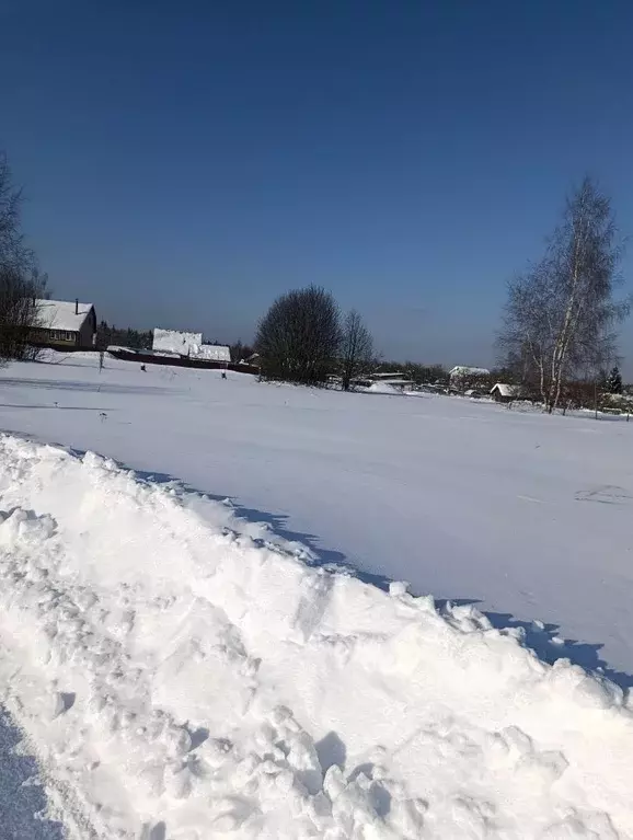 Участок в Московская область, Егорьевск муниципальный округ, д. ... - Фото 1