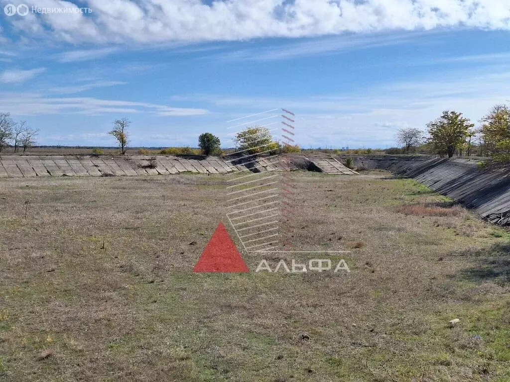 Участок в Сакский район, Молочненское сельское поселение, село ... - Фото 2