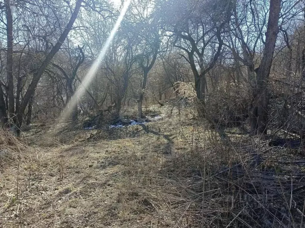 Участок в Брянская область, Брянск Союз садоводческое объединение,  ... - Фото 2