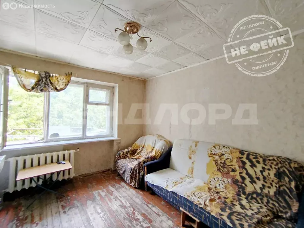 1-комнатная квартира: Ростов-на-Дону, Казахская улица, 87/2 (18.3 м) - Фото 1