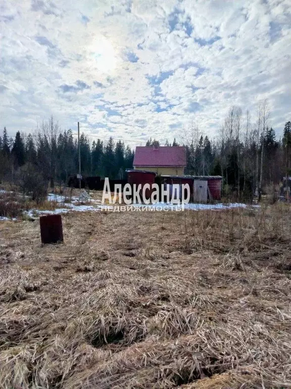 Участок в Ленинградская область, Выборгский район, Селезневское с/пос, ... - Фото 1