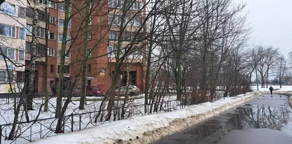 Помещение свободного назначения (54 м) - Фото 1