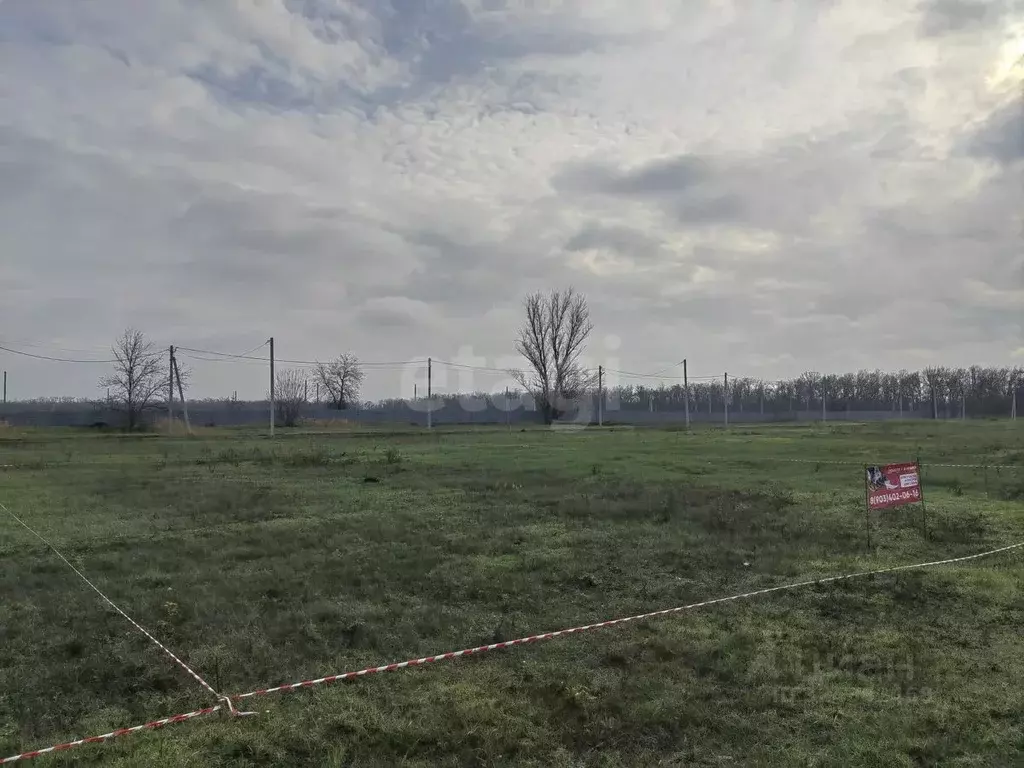 Участок в Ростовская область, Аксайский район, Ольгинское с/пос, ... - Фото 1