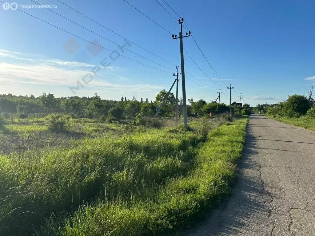 Участок в посёлок городского типа Черноморский, садовое товарищество ... - Фото 0
