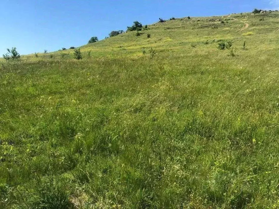 Участок в Крым, Симферопольский район, с. Доброе ул. Имени А. ... - Фото 2
