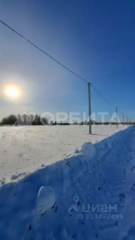 Участок в Тюменская область, Тюменский район, д. Марай  (11.9 сот.) - Фото 0