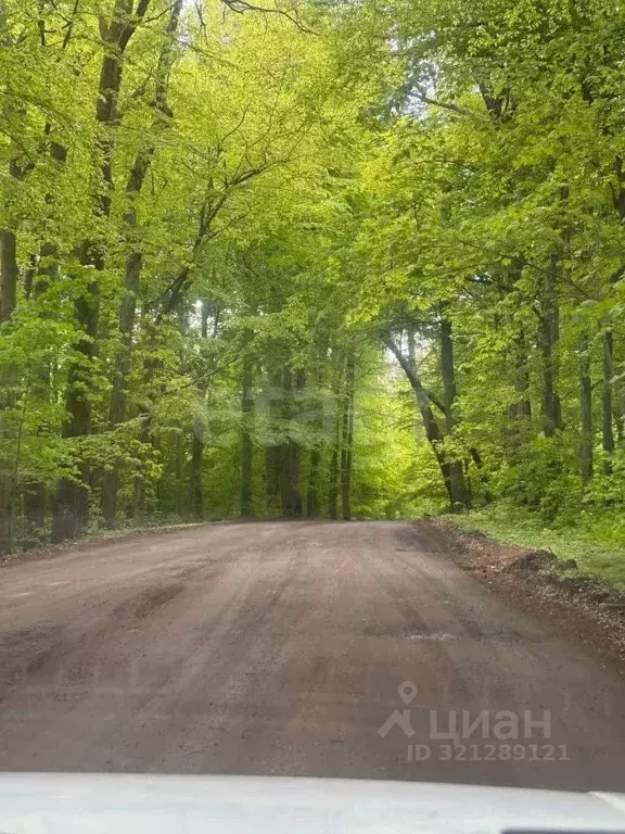 Участок в Калининградская область, Зеленоградский муниципальный округ, ... - Фото 1
