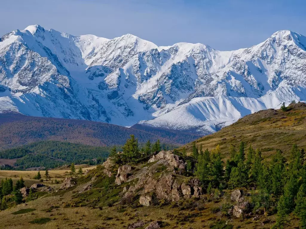 Участок в Алтай, Чемальский район, Элекмонарское с/пос, Седьмое Небо ... - Фото 1