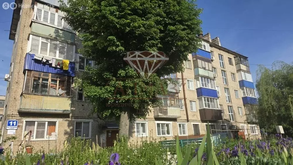 1-комнатная квартира: Елец, улица Ани Гайтеровой, 11 (30 м) - Фото 1