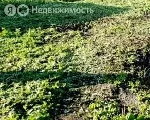 Участок в Кемерово, улица Лутугина (13.78 м) - Фото 0
