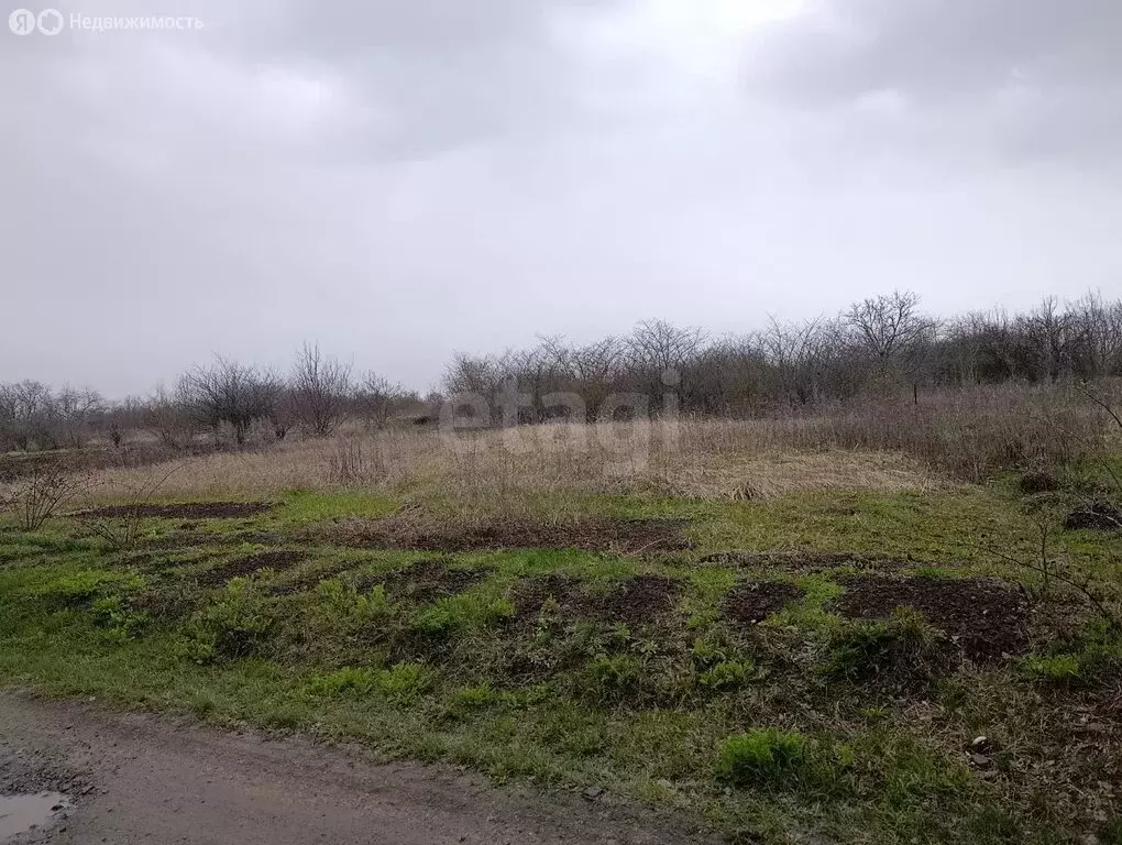 Участок в Корочанский район, Мелиховское сельское поселение, садовое ... - Фото 1