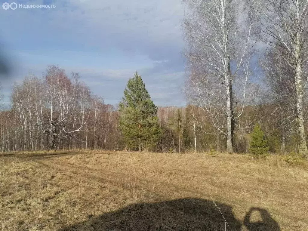 Участок в Корнилово, улица Николая Сиротинина (12 м) - Фото 1