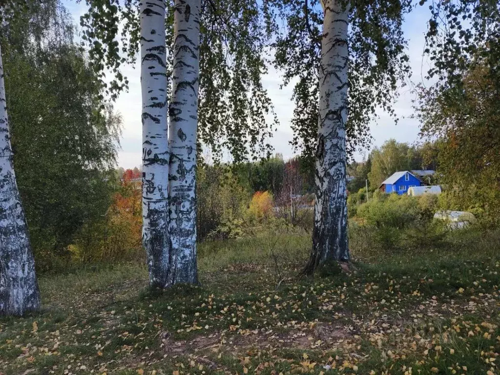 Участок в Пермский край, Пермский муниципальный округ, Медовый Дол № 3 ... - Фото 1