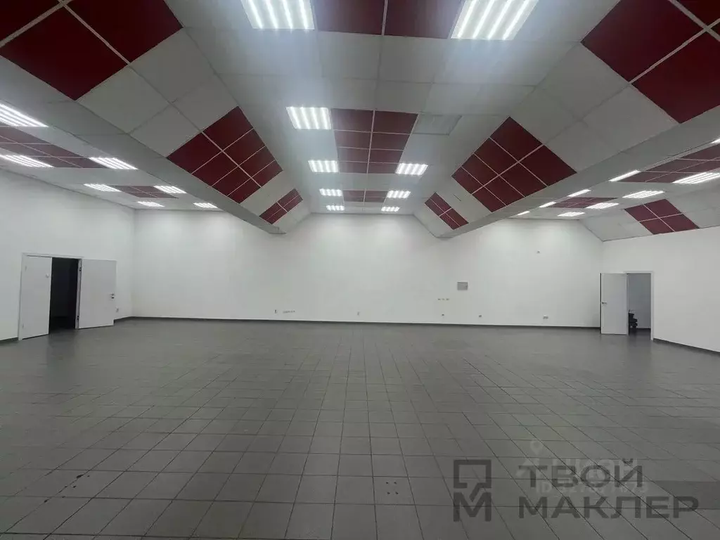 Склад в Пензенская область, Пенза ул. Чаадаева, 135к3 (909 м) - Фото 2