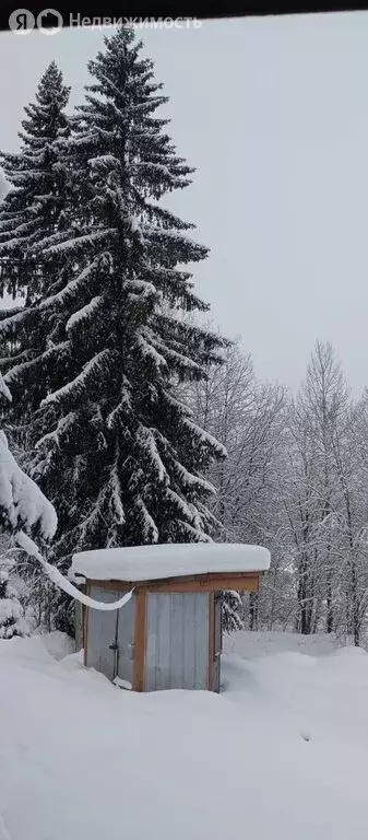 Участок в Республика Карелия, Сортавальский муниципальный округ, ... - Фото 2