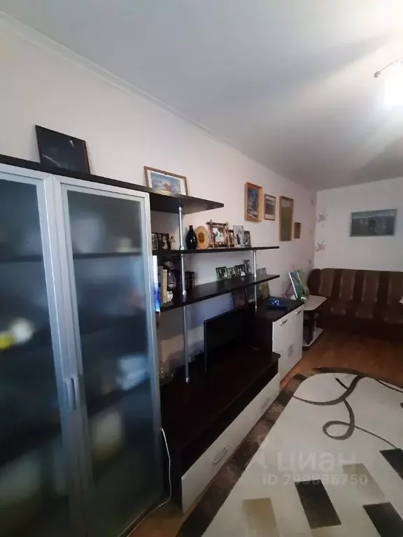 1-к кв. Курганская область, Курган ул. Отдыха, 53 (33.8 м) - Фото 0