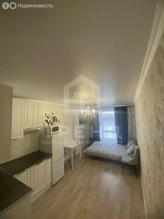 Квартира-студия: Мурино, улица Шоссе в Лаврики, 67 (24.1 м) - Фото 2