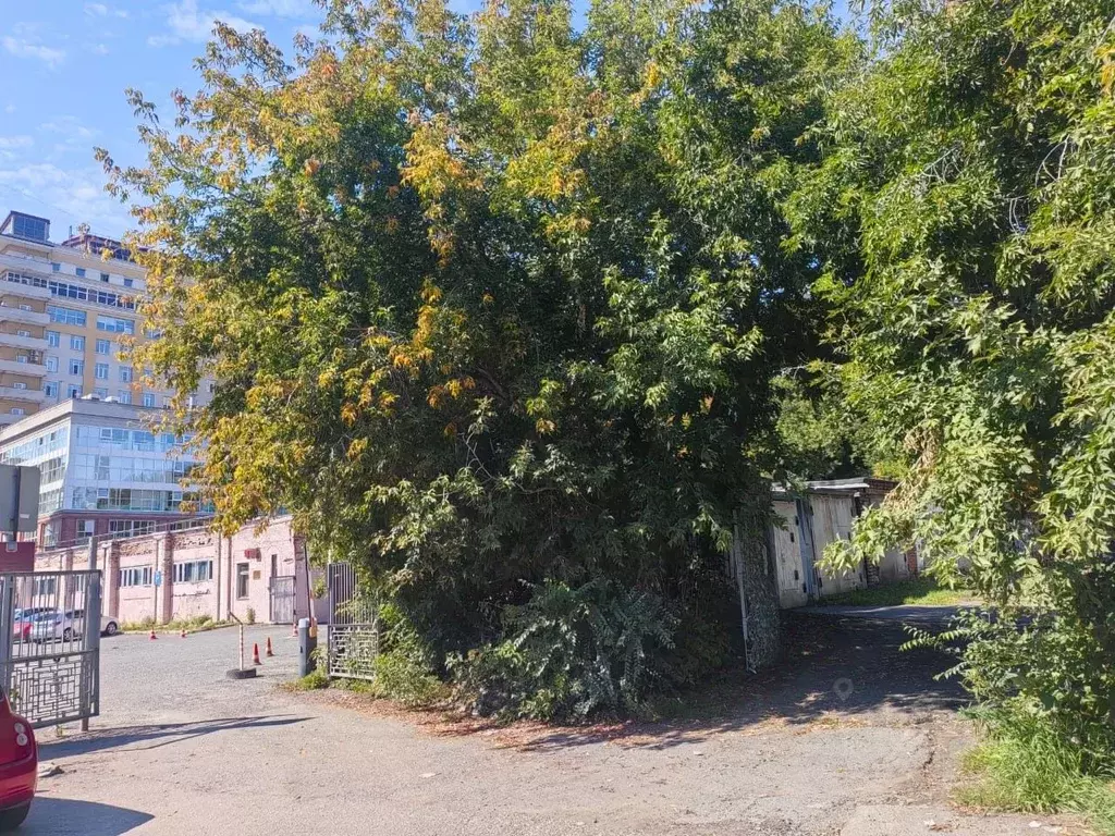 Гараж в Омская область, Омск ул. Карла Либкнехта (24 м) - Фото 2