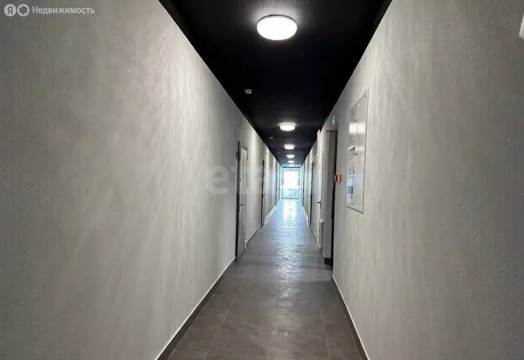 3-комнатная квартира: Брянск, проспект Станке Димитрова, 67к7 (78.2 м) - Фото 2