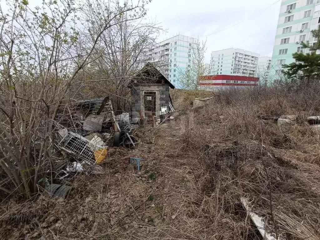 Участок в Новосибирск, НСТ Ветеран, Логовая улица (6.56 м) - Фото 1