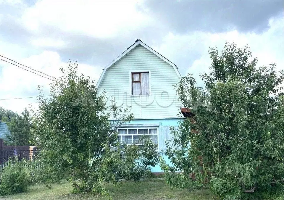 Дом в Новосибирская область, Колыванский район, Приобье СНТ, 33-й кв-л ... - Фото 1