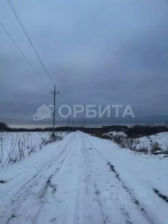 Участок в Тюменская область, Тюменский район, с. Горьковка Сибирская ... - Фото 1