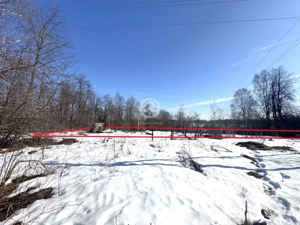 Участок в Московская область, Клин городской округ, д. Елгозино  (25.0 ... - Фото 1