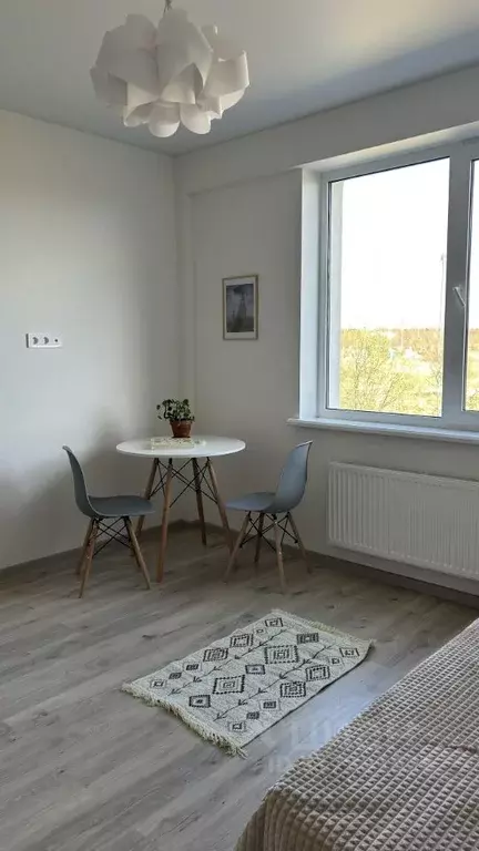Студия Ленинградская область, Всеволожск Степной просп., 16к4 (22.4 м) - Фото 0