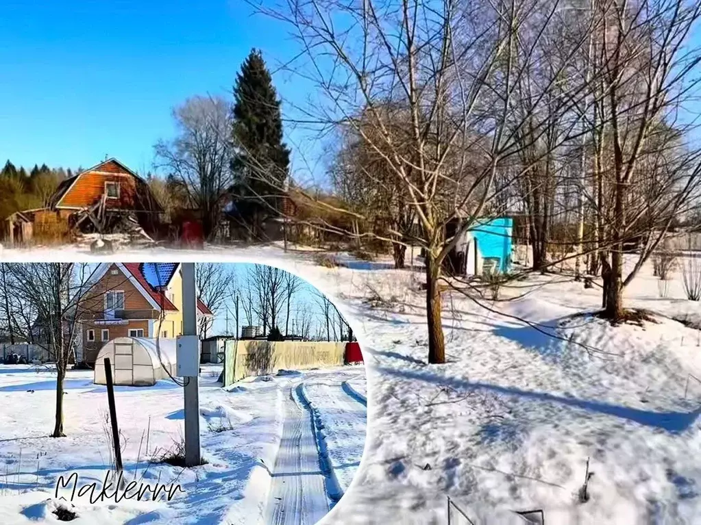 Участок в Ленинградская область, Кингисеппский район, Пустомержское ... - Фото 1