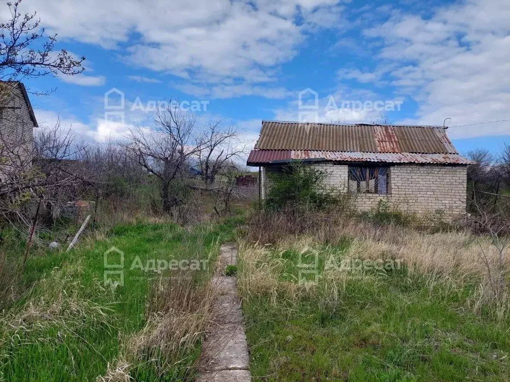 Дом в Волгоградская область, Волгоград Восход СНТ,  (43 м) - Фото 1