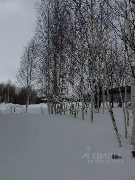 Участок в Алтайский край, Барнаул проезд Кофейный, 2 (7.02 сот.) - Фото 1