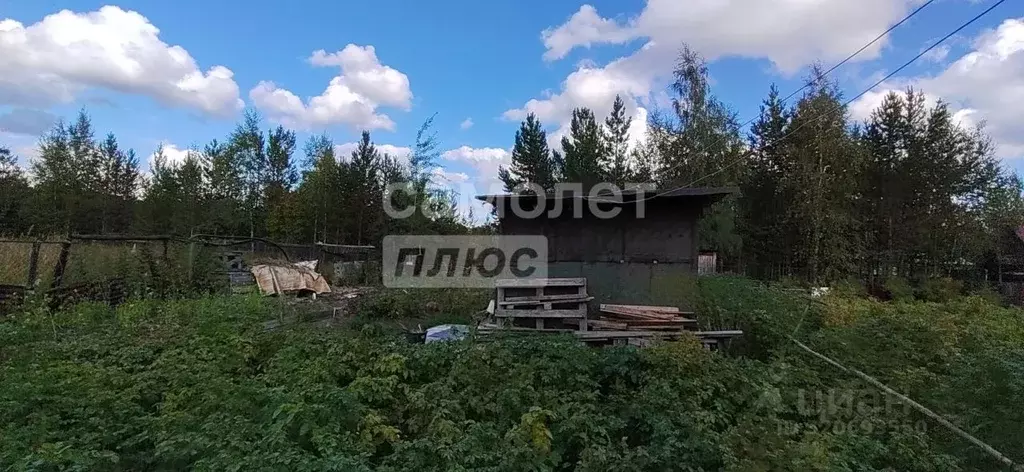 Участок в Ханты-Мансийский АО, Сургут № 2 садовое товарищество, ул. ... - Фото 1