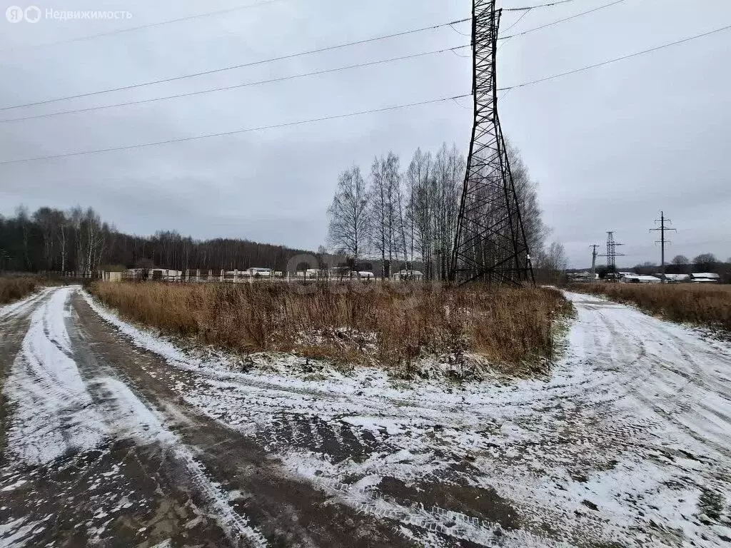 Участок в Кострома, Заволжский район (75.91 м) - Фото 2