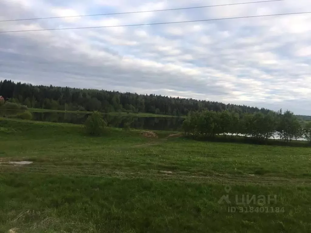 Участок в Тверская область, Калининский муниципальный округ, д. Селино ... - Фото 0