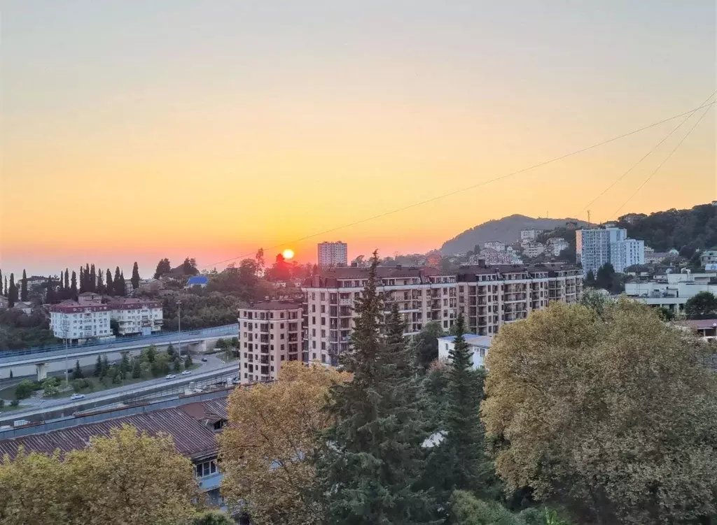 3-к кв. Краснодарский край, Сочи Донская ул., 29Б (46.0 м) - Фото 0