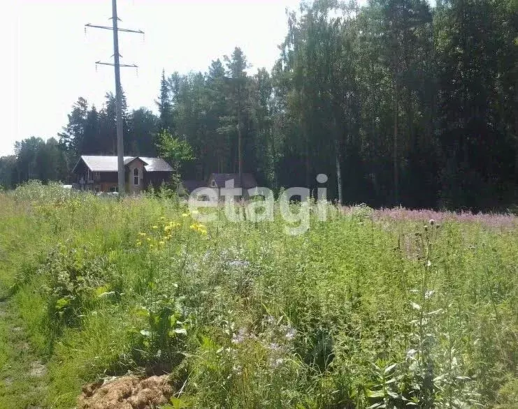 Участок в Красноярский край, Емельяновский район, Шуваевский ... - Фото 0